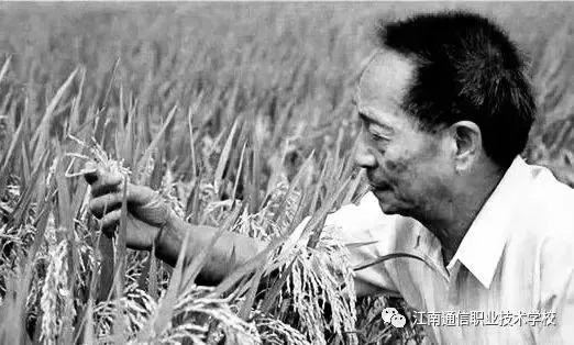 岳陽市江南通信職業(yè)技術學校,岳陽江南學校,岳陽江南通信學校,岳陽職業(yè)學校